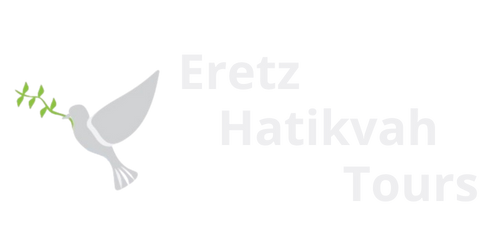 logo Eretz Hatikvah